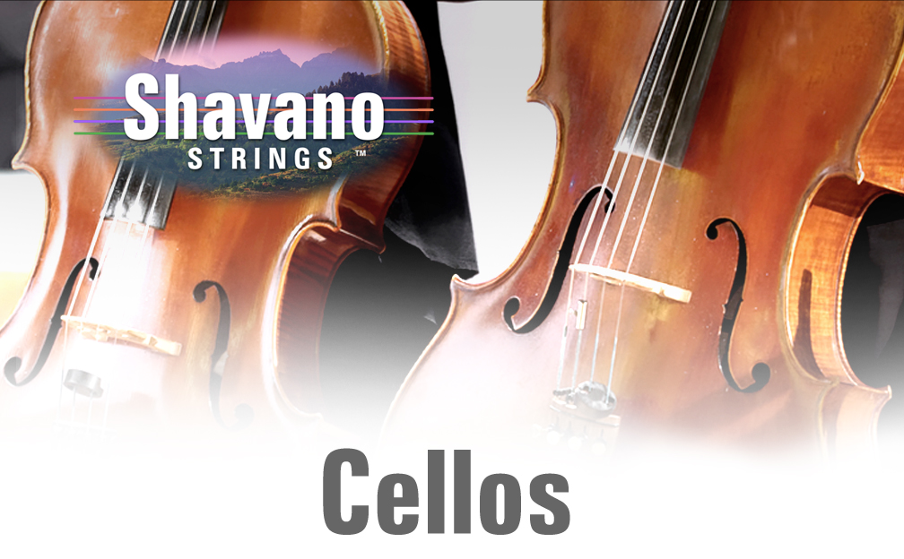 TEXAS STRINGS EDUCATIOM