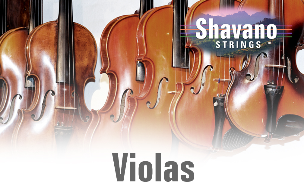 TEXAS STRINGS EDUCATIOM